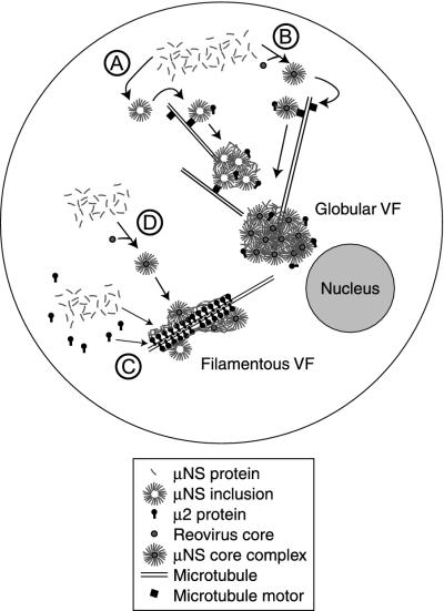 FIG. 9.