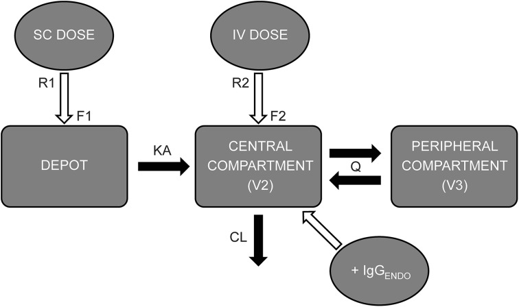 Fig. 1