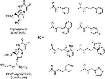 Chemical structures of representative 2′-deoxyuridine-5-carboxamides.