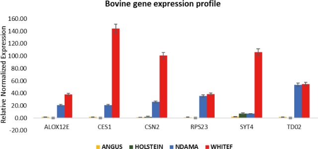 Fig. 3.