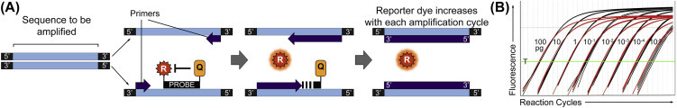 Figure 7.15
