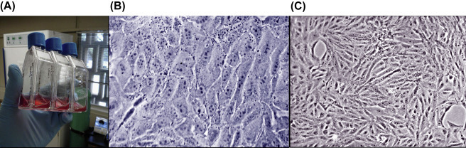 Figure 7.3