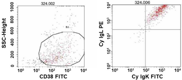 Fig. 2