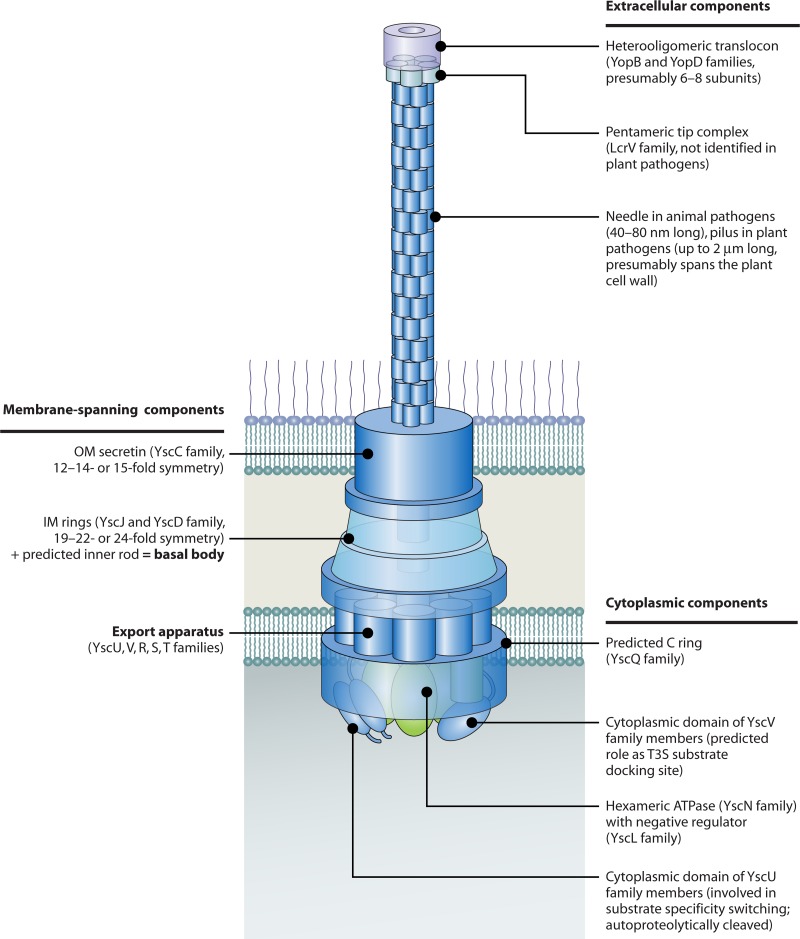 Fig 2