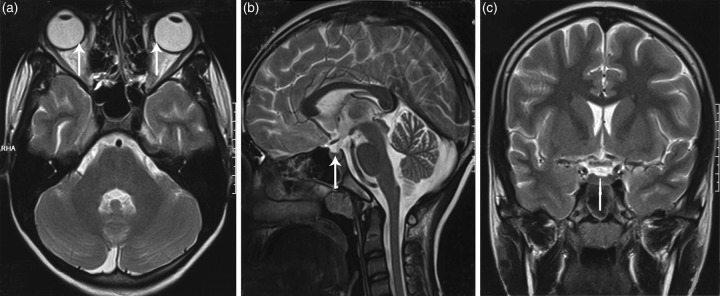 Figure 3