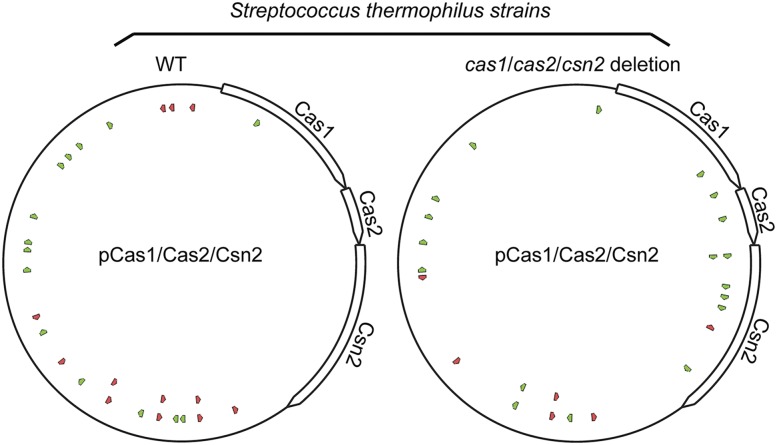 Figure 3.