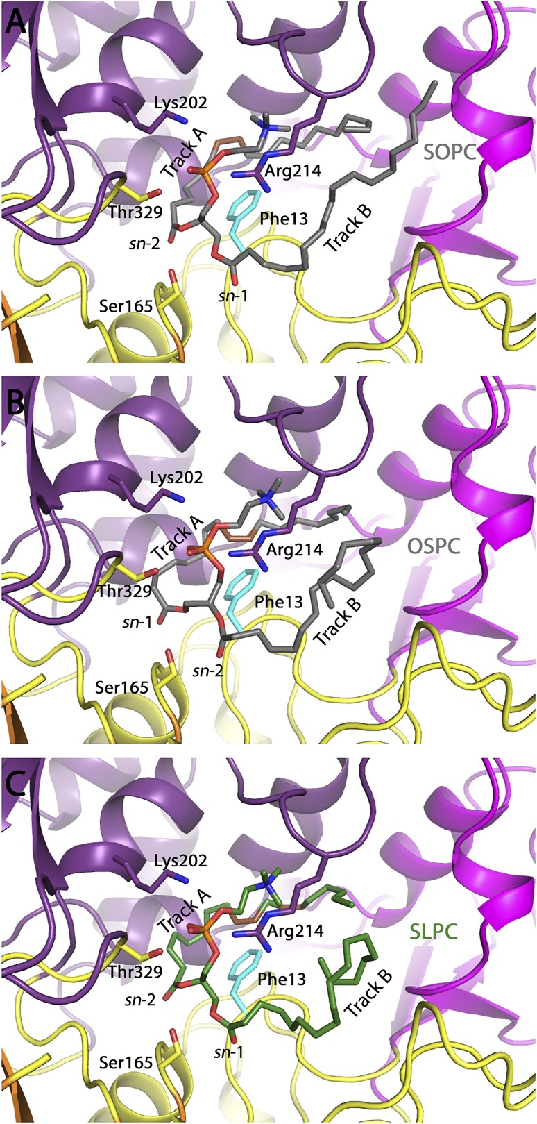 Fig. 8.