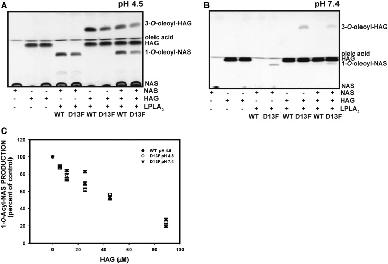 Fig. 7.