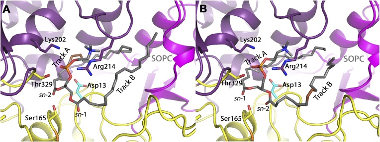 Fig. 9.