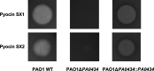 Figure 4.