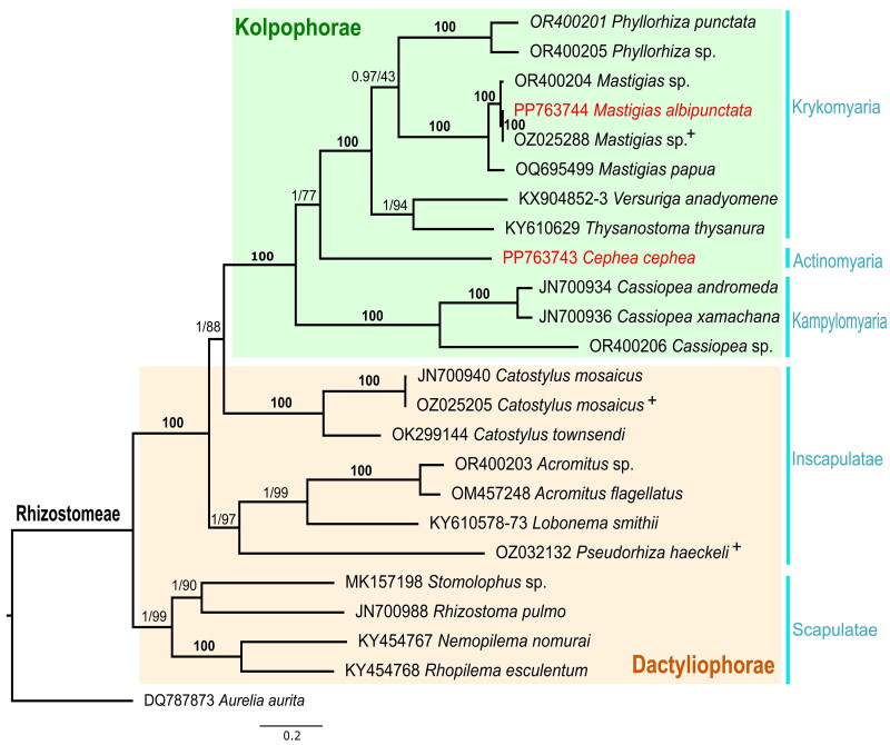 Figure 3.