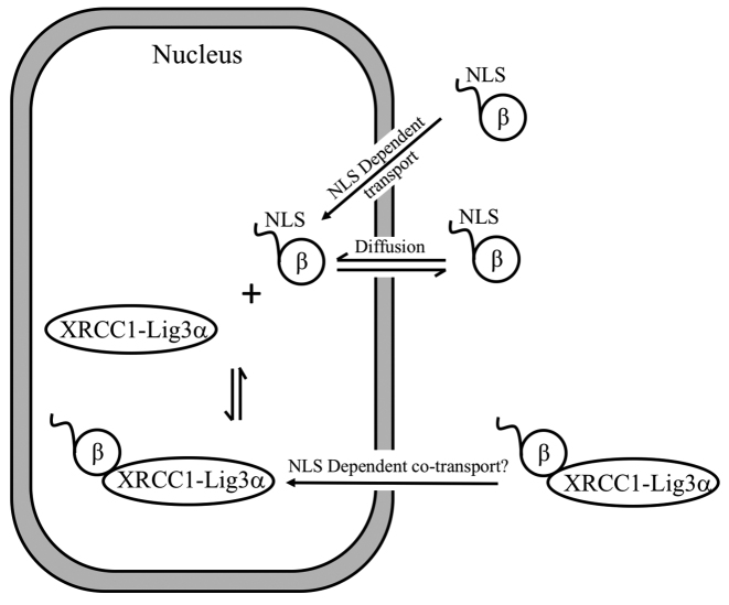 Figure 8.