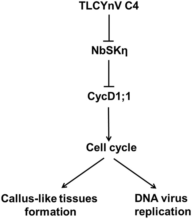 Fig 9