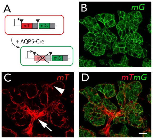 Figure 2.