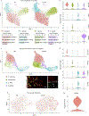 Extended Data Fig. 5.
