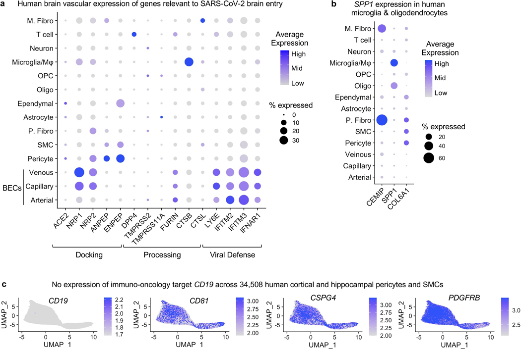 Extended Data Fig. 4.