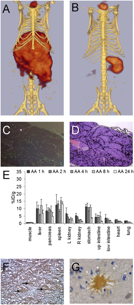 Fig. P1.