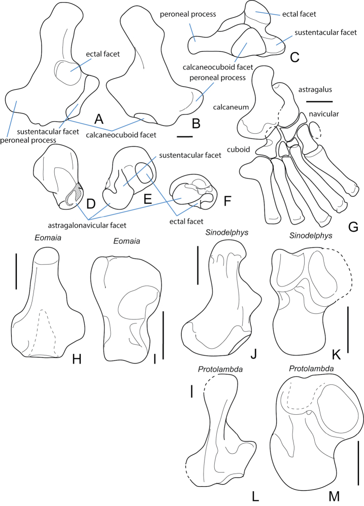 Figure 13.