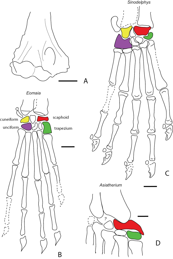 Figure 11.