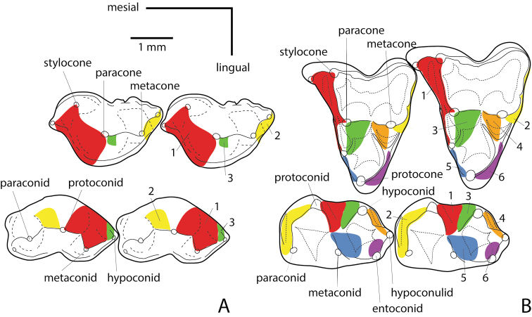 Figure 2.