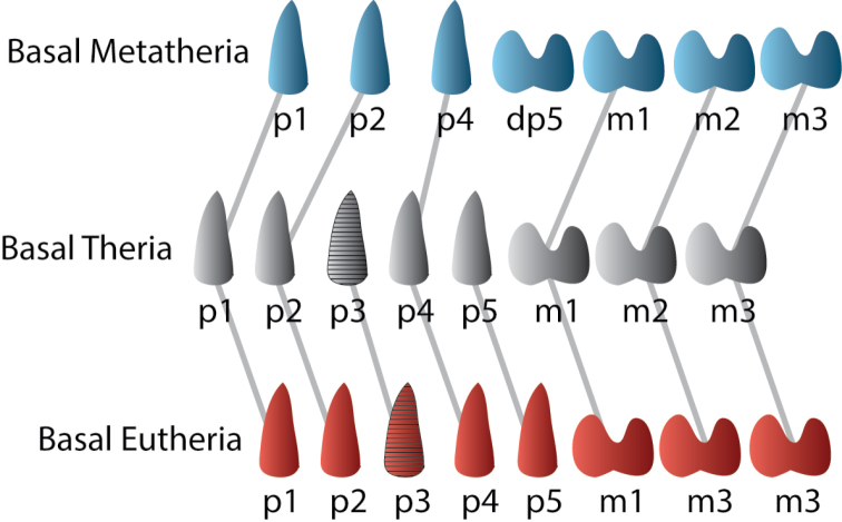 Figure 4.