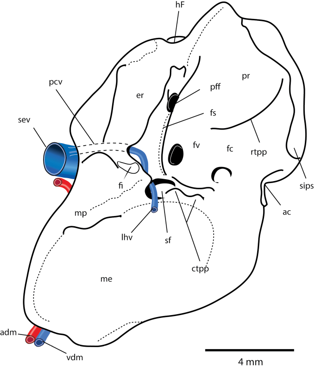 Figure 9.