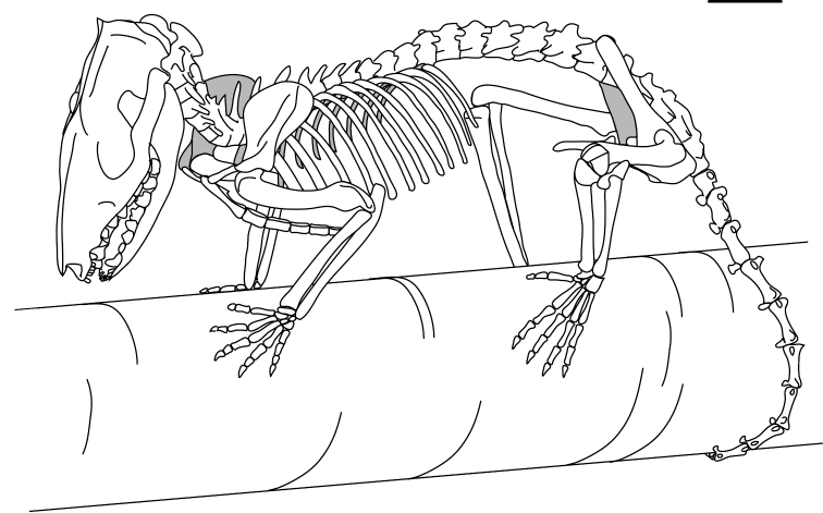 Figure 10.