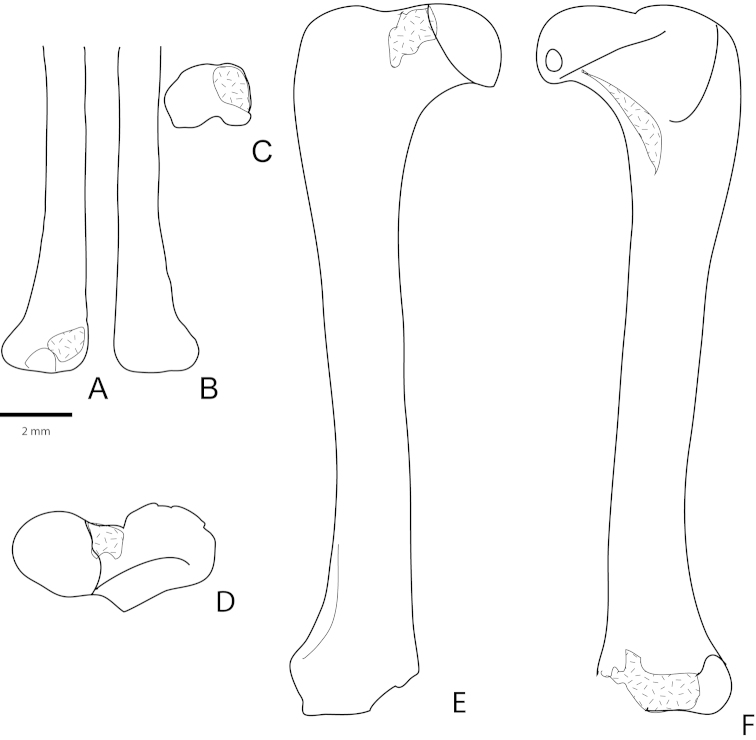 Figure 12.