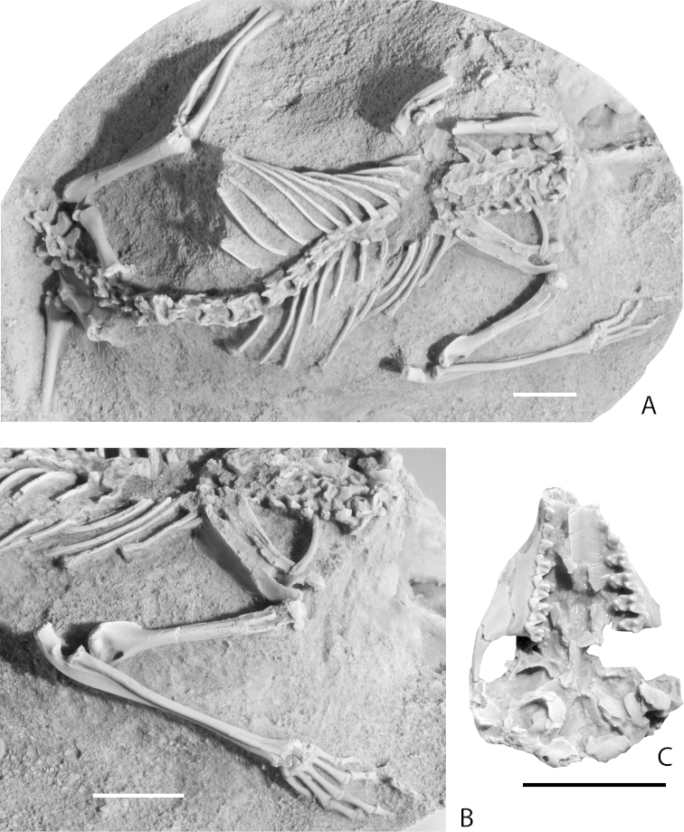Figure 7.