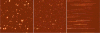 Fig 5