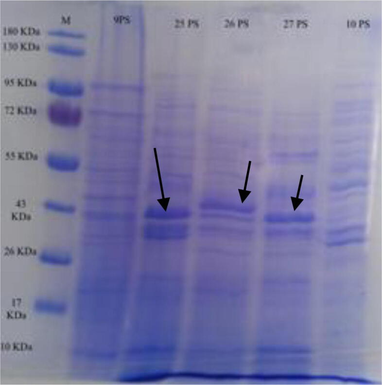 Fig. 4