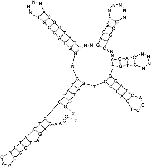 FIGURE 2.