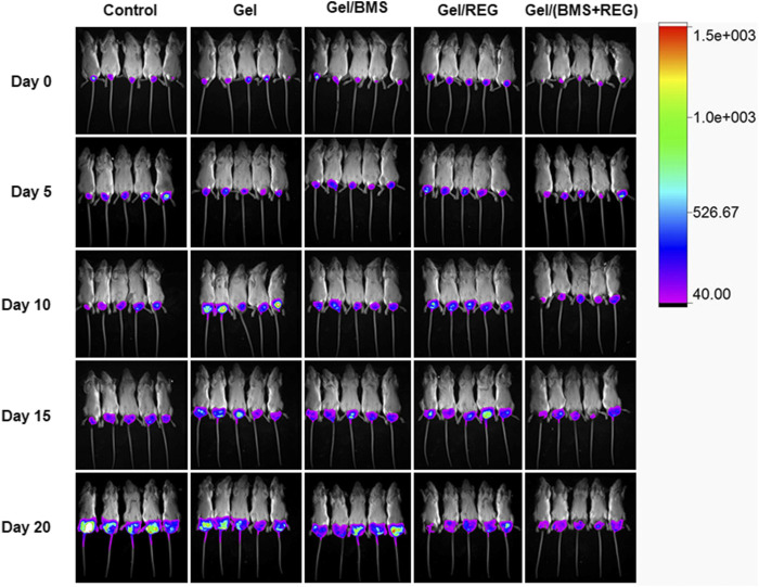 FIGURE 3