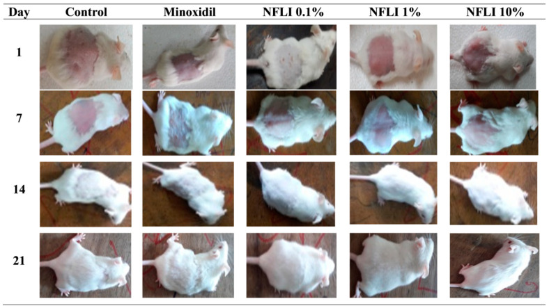 Figure 4