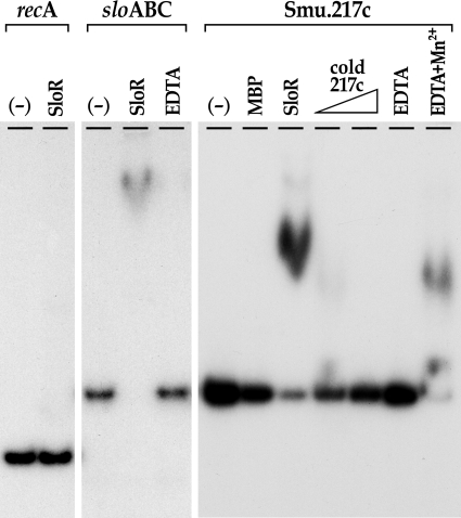 FIG. 5.