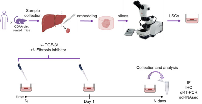 Fig. 14