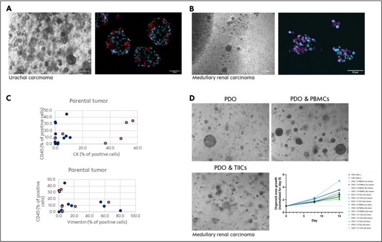 Fig. 6