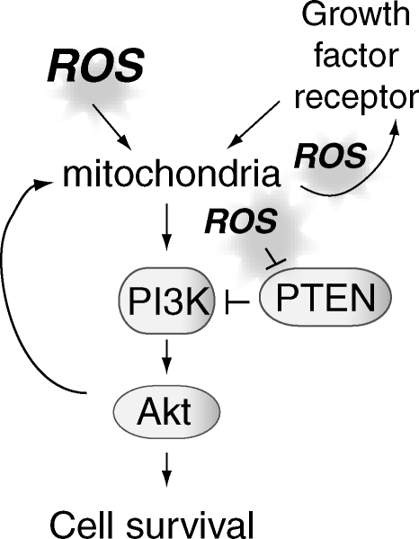 FIG. 11.