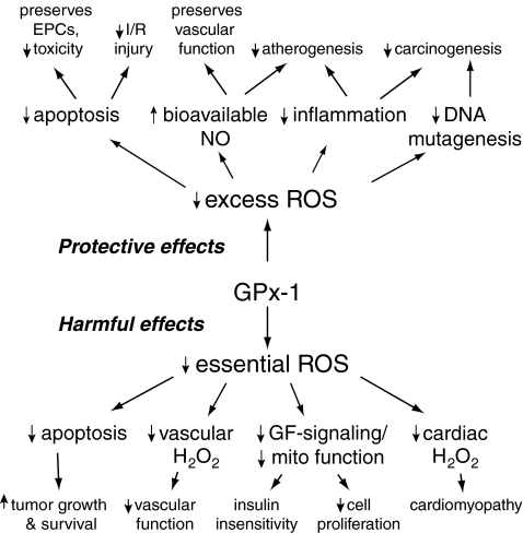 FIG. 13.