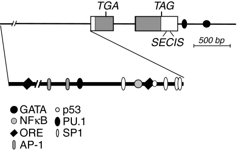 FIG. 7.