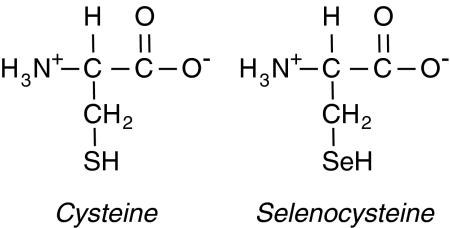 FIG. 8.