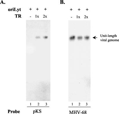 FIG. 5.