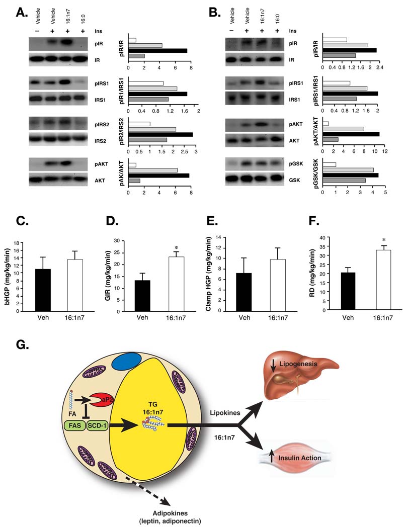 Fig 7