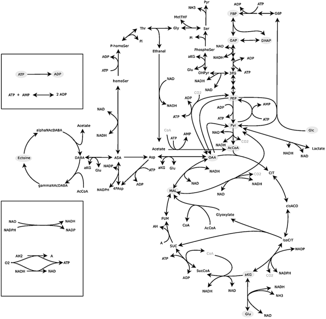 Fig. 8