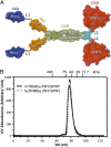 Fig. 1.