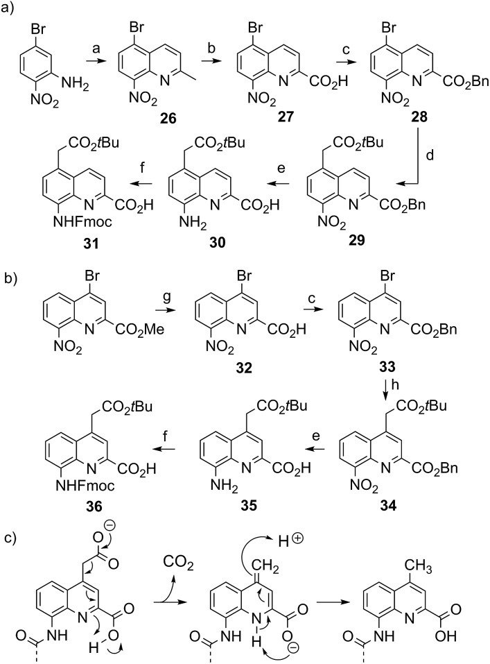 Scheme 4