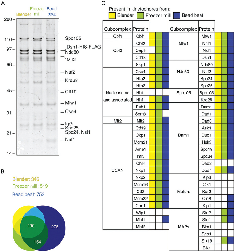 FIG. 3