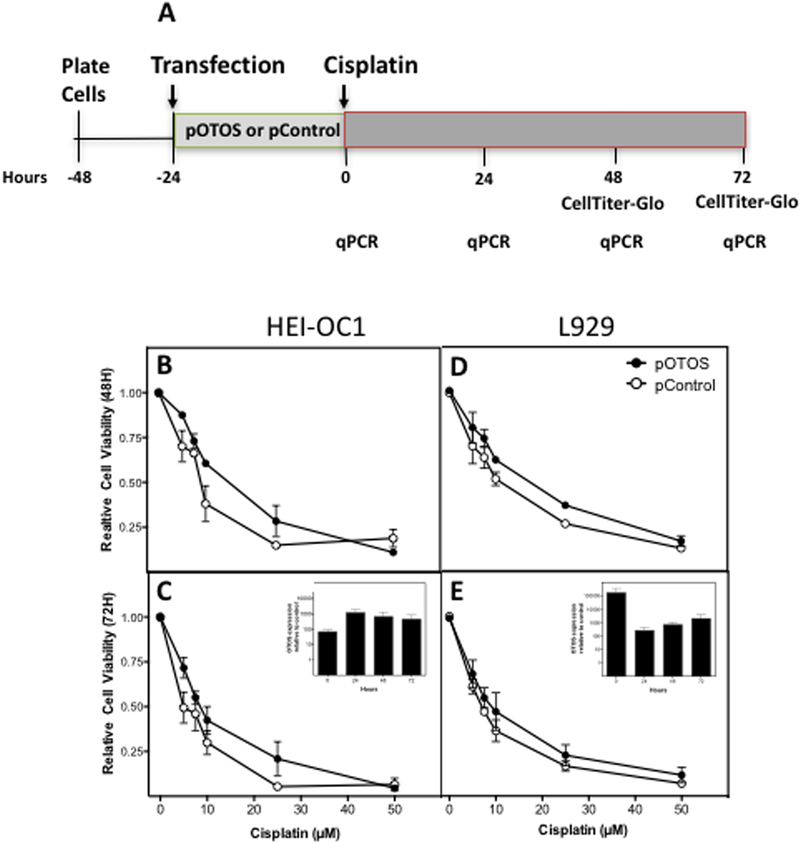 Figure 5)