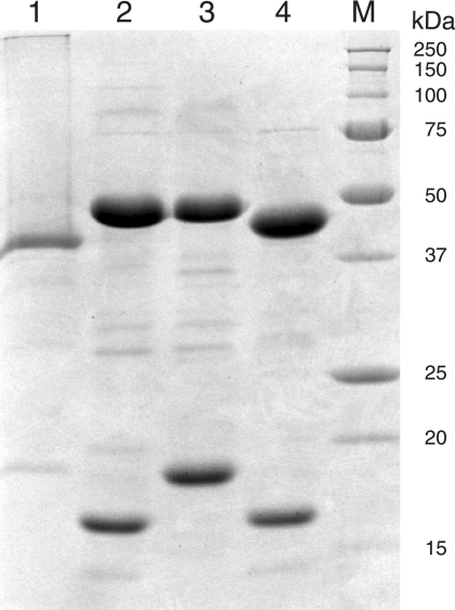 FIG. 3.