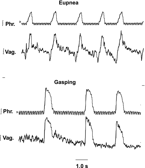 Fig. 8.